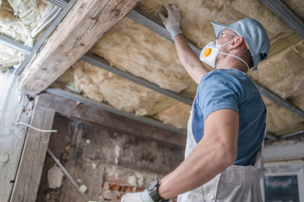 Best Insulation Repair Services  in Walnut, CA