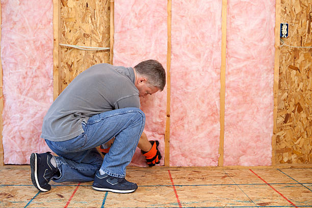 Best Best Insulation Companies  in Walnut, CA